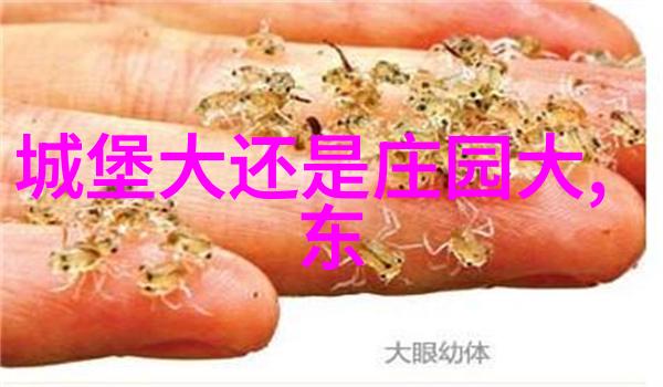 中国悠久灿烂的葡萄酒历史文化